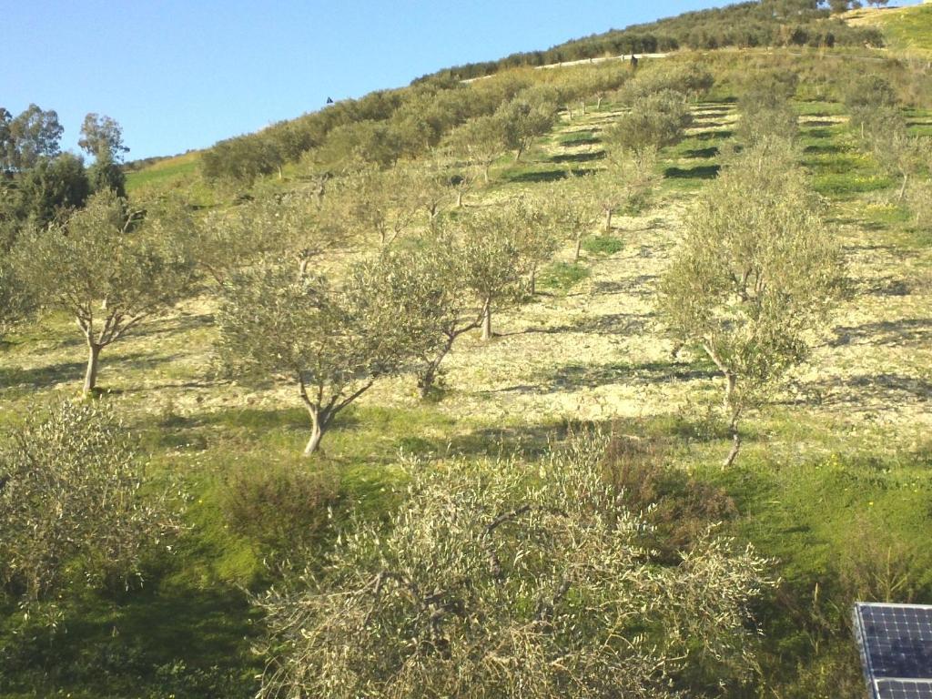 Agriturismo Due Ganee Vila Agrigento Exterior foto